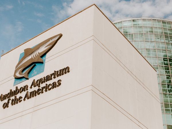 The image shows the exterior of the Audubon Aquarium of the Americas, featuring its logo and part of its modern glass architecture.